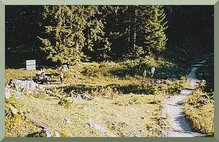 picture: Children at the bank of the brook