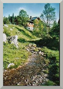 picture: Brook beside the hut