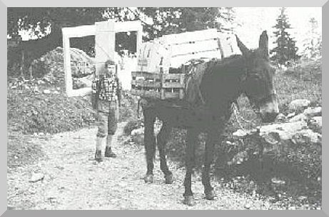 Auch Menschen tragen!