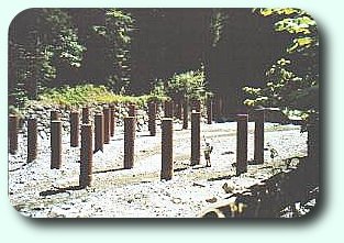 Bild: Treibholzrechen