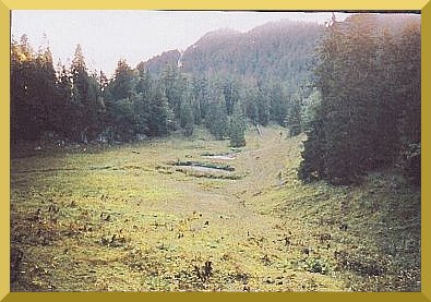 Post clearing pools below the hut